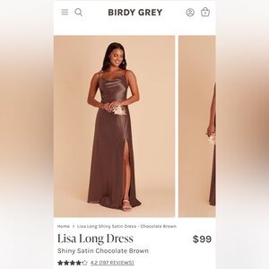 Birdy Grey - Lisa Long Bridesmaid Dress
Shiny Satin Chocolate Brown